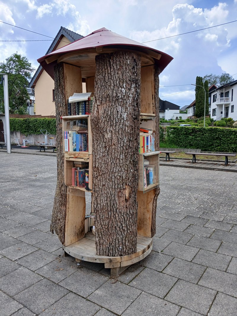 neuer Bücherbaum Freisen - 2024