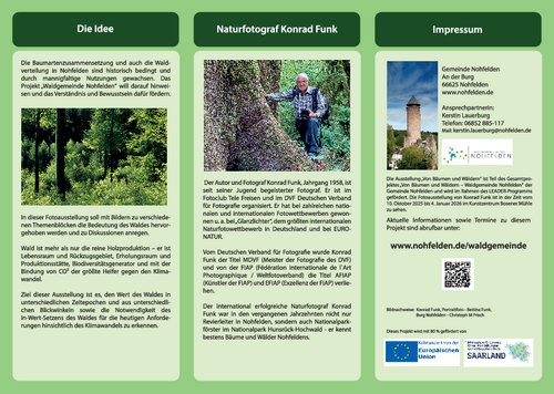 Informationsflyer Ausstellung Von Bäumen und Wäldern Innenseite